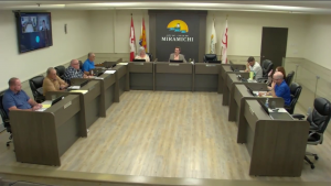 Capture d'écran de la webdiffusion du conseil municipal, durant le vote d'une motion.