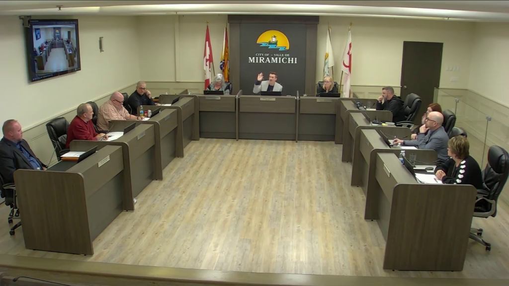 Capture d'écran montrant la salle du conseil municipal, avec le maire Adam Lordon qui lève la main.