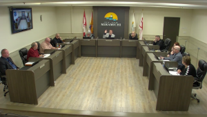 Capture d'écran montrant la salle du conseil municipal, avec le maire Adam Lordon qui lève la main.