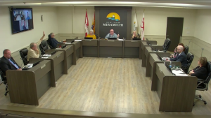 Capture d'écran montrant la salle du conseil municipal, avec certains conseillers qui lèvent la main.